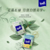 Tempo得宝经典无香迷你手帕纸7片36包纸巾 4层加厚外出迷你便携小包装无香卫生纸餐巾纸(新旧包装交替发货)晒单图