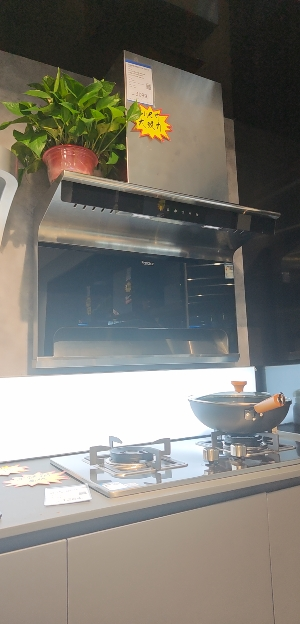 法迪欧燃气灶不锈钢面板JZT-2G301晒单图