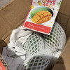 [熊猫鸟] 新鲜凯特芒 净重5斤装 大果 单果400g左右 整箱新鲜现摘热带时令水果甜心芒应季芒果晒单图