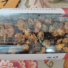 北京同仁堂菊花茶杭白菊正宗桐乡胎菊50g茶叶杭州菊花花草茶搭金银花茶晒单图