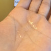 娇兰(GUERLAIN)蜂姿水爽肤水300ml帝皇蜂姿蜜润修护精粹水 爽肤水保湿滋润细嫩透亮润泽晒单图