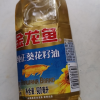 金龙鱼葵花籽油900ML(方瓶)晒单图