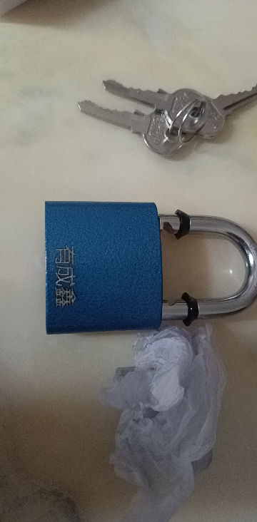 有成鑫 铜芯挂锁 门锁 YCX-50/把晒单图