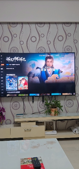 雷鸟 鹏7 25款 65英寸 144Hz高刷 家电国家补贴 4+64GB 超薄液晶平板电视机65S385C Pro-JN晒单图