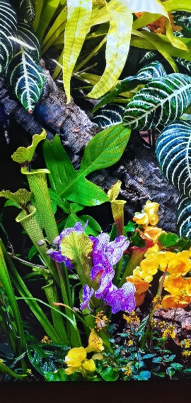 三星/Samsung 75QN79F 75英寸 Mini LED量子点 144Hz 一级能效 智能AI 游戏电视晒单图