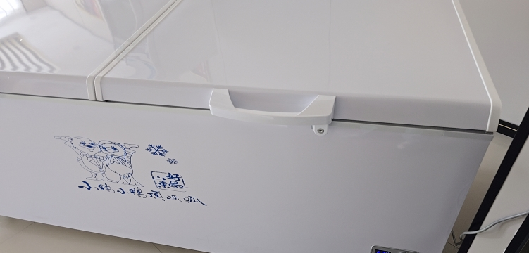 小鸭(xiaoya)冰柜商用卧式大容量冰箱家用冷藏冷冻保鲜铜管单双温超市冷柜-850单温款晒单图