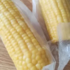 十月稻田黄糯玉米 3.52斤(220g*8根) 东北玉米棒甜糯低脂新鲜真空装早餐苞米晒单图