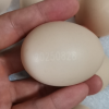 苏鲜生可生食鲜鸡蛋20枚礼盒晒单图