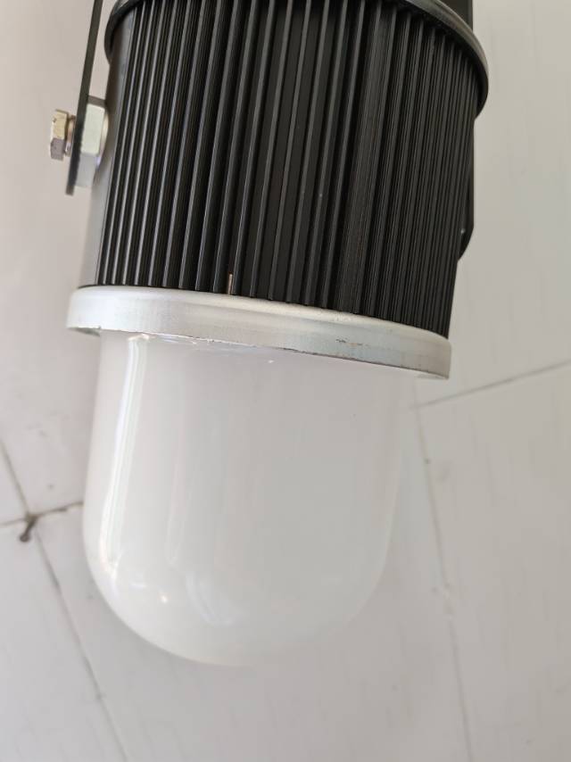 鼎晟丰(DSF) DSFG-920A-30 30W IP66 5500K LED环照灯 (计价单位:个) 黑色晒单图