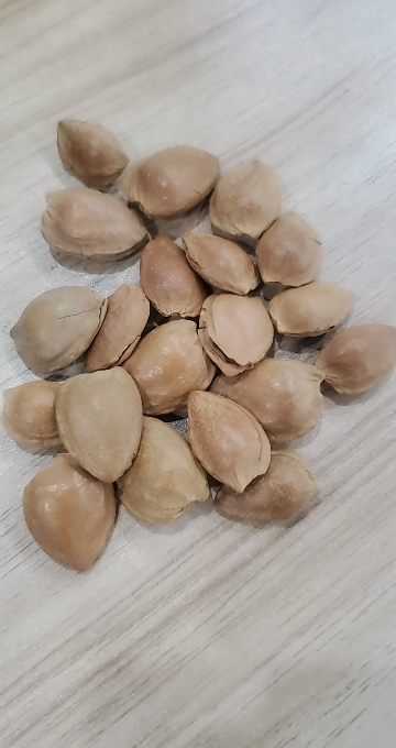 刻凡小白杏108g袋装手剥薄壳开口杏核原味散装年货批发晒单图