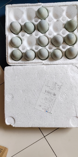 [西沛生鲜]河南 特产 松花皮蛋 20枚 60-70g/个 正宗土鸭蛋新鲜腌制溏心皮蛋河南特产变蛋晒单图