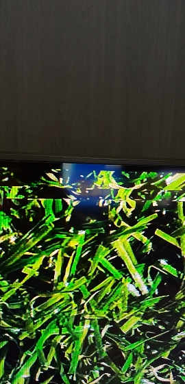 三星(SAMSUNG)75LS03F 75英寸 Frame画壁艺术电视 AI电视 QA75LS03FAJXXZ晒单图