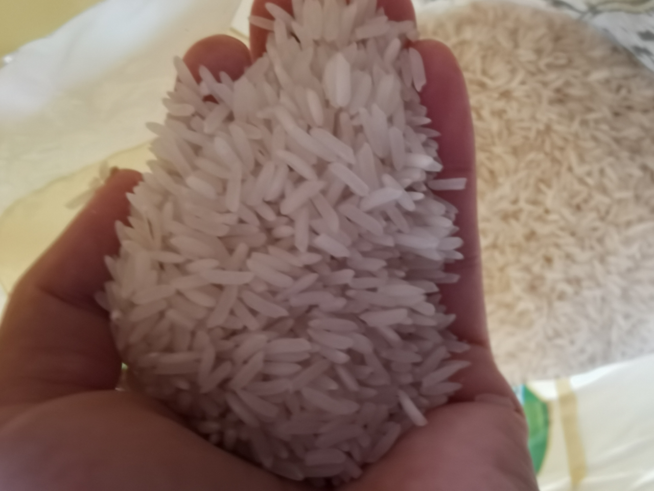 绿宝贡[新品低价]5斤装猫牙香米新鲜正宗农家长粒香优质大米南方大米晒单图