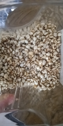 汾都香优选农家新货新鲜薏米仁500g*3晒单图