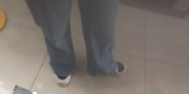 星星(XINGX) 306升榭湖银双温卧式冰柜冰箱冷藏冷冻预涂内胆自动减霜家商两用冷柜 BCD-306R晒单图