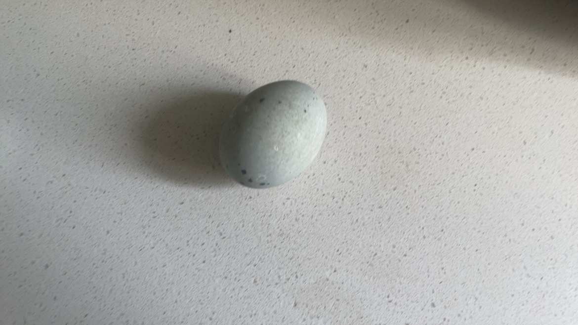 [苏鲜生推荐]雀淘松花皮蛋10枚 单枚60-70g 顺丰发货个大溏心正宗农家土鸭蛋新鲜腌制整箱晒单图