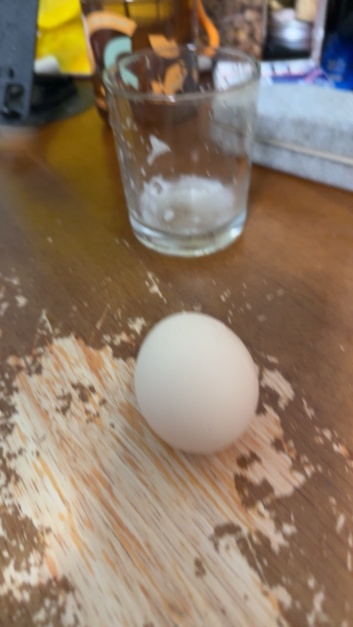 五个农民 40枚装 1600g湖北草鸡蛋 现捡现发土鸡蛋 农家自养晒单图