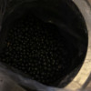 汾都香东北新5斤黄芯黑豆农家芯黑豆浆可发芽豆浆泡醋五谷杂粮晒单图