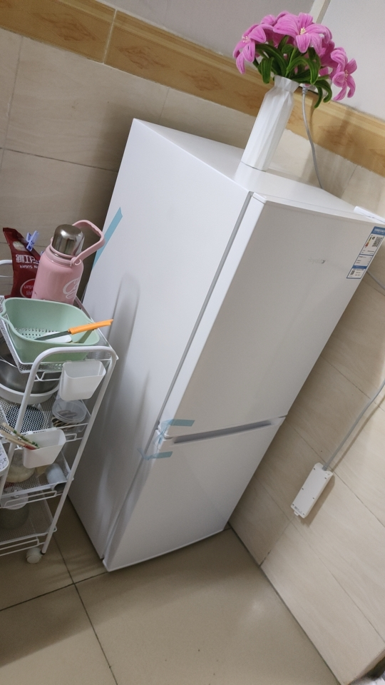 荣事达165升迷你冰箱小型家用租房冰箱宿舍小冰箱大容量节能低音BCD-165L9RSZ(白色)晒单图