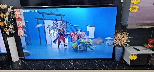 TCL 55S11-JN 电视机晒单图