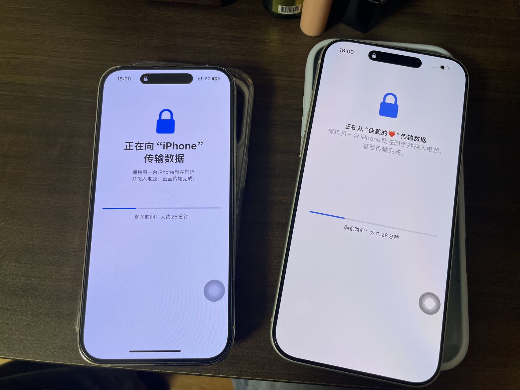 Apple iPhone 17 Pro Max 1TB 银色[需现场签收激活]5G全网通手机 全新正品国行晒单图