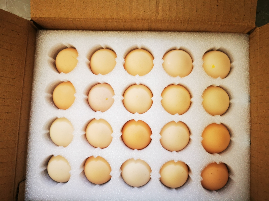 [苏鲜生推荐] 雀淘 AA级皖南新鲜土鸡蛋20枚正宗农家橙心鸡蛋营养早餐晒单图
