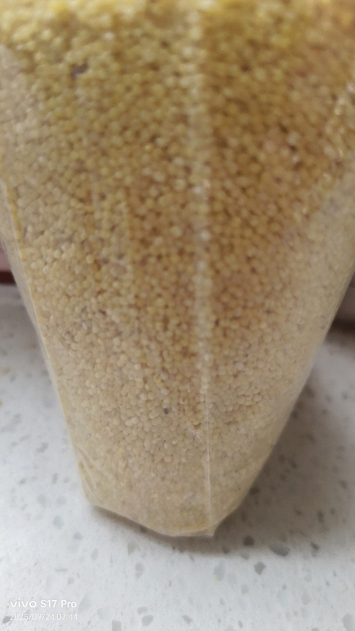 有机小米370g 黄小米五谷杂粮粗粮 熬粥小米晒单图