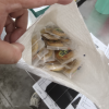 老婆饼500g正宗整箱早餐面包健康小零食小吃休闲食品特产饼干夜宵批发晒单图