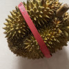 [熊猫鸟]泰国金枕榴莲 进口榴莲 1个装 4-5斤(包3房以上) 软糯香甜 新鲜水果晒单图