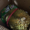 [熊猫鸟]泰国金枕榴莲 进口榴莲 1个装 4-5斤(包3房以上) 软糯香甜 新鲜水果晒单图