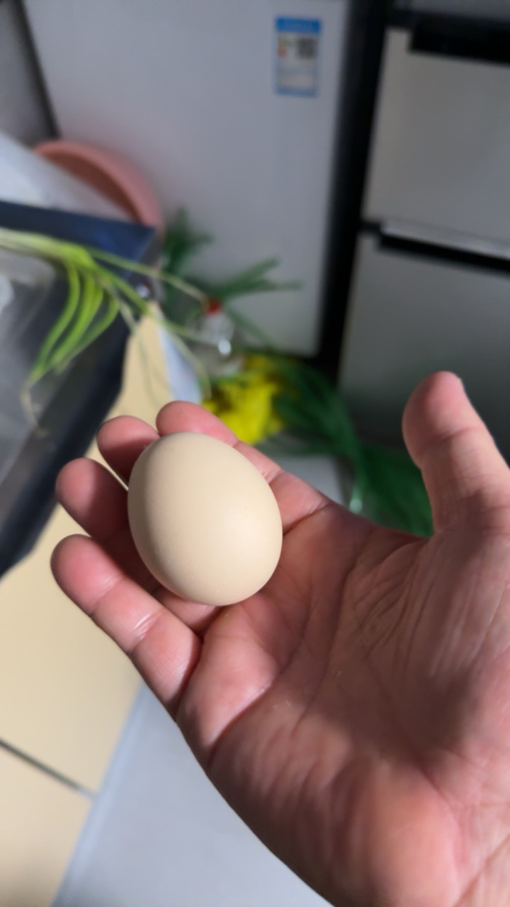 [苏鲜生推荐] 雀淘 AA级皖南新鲜土鸡蛋50枚橙心鸡蛋正宗农家营养早餐晒单图