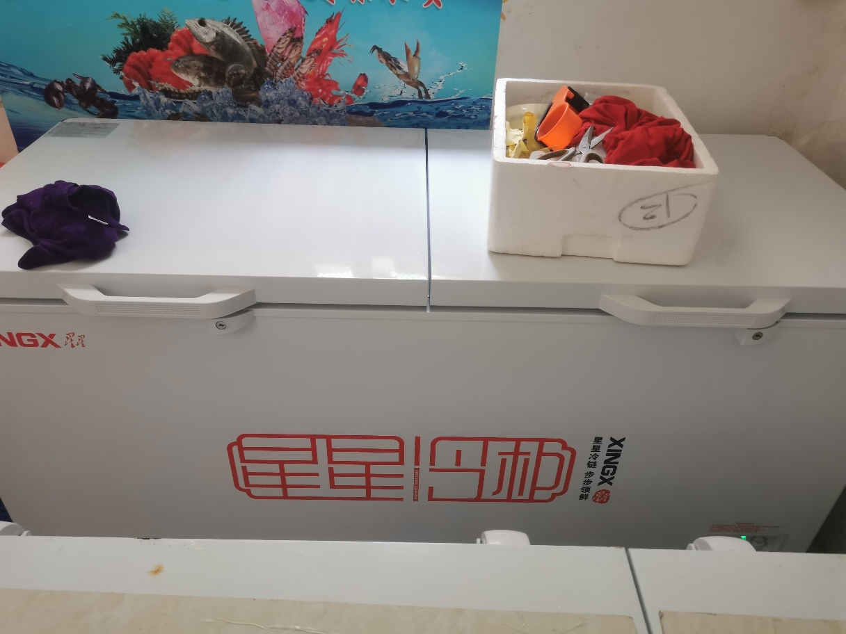 星星(XINGX) 518升商用大冷柜 大冷冻力冰柜 断电保护 冷藏冷冻转换柜 BD/BC-528GE晒单图