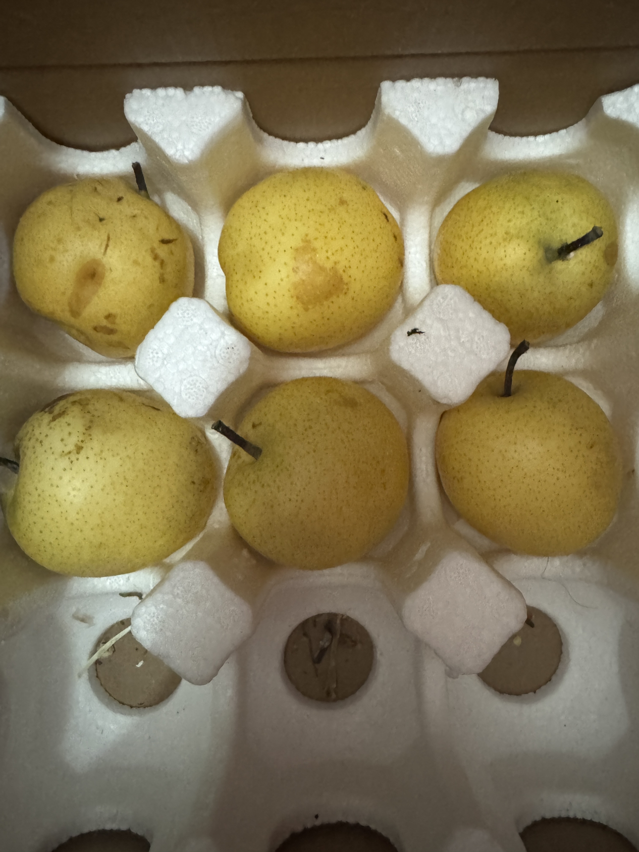 [熊猫鸟]精品皇冠梨 新鲜水果 松脆多汁 净重4.7-5.2斤 单果250g以上晒单图