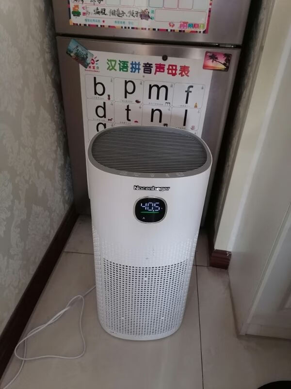 诺森柏格(Nocenbeger)空气净化器高效分解除甲醛细菌家用新房除异味pm2.5负离子净化器G6Plus晒单图