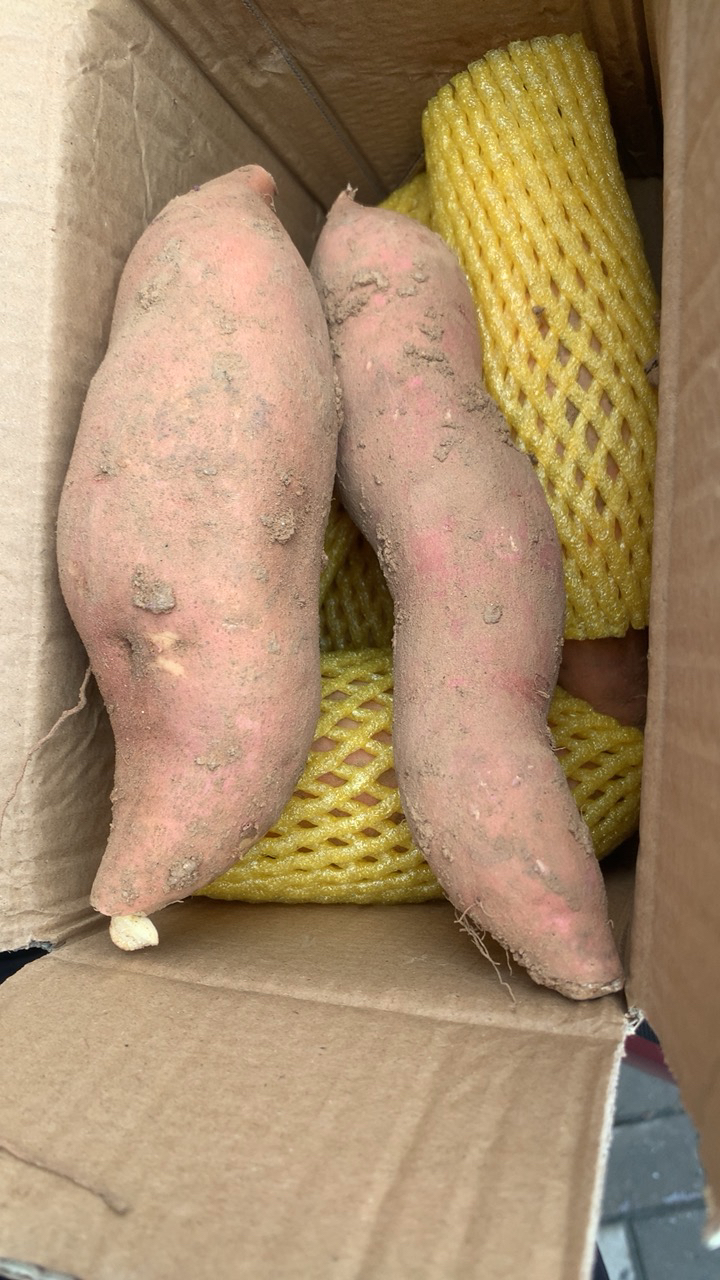 [熊猫鸟]山东烟薯25号 净重3斤 中果 红心糖心蜜薯 新鲜农家沙地超甜地瓜山芋晒单图