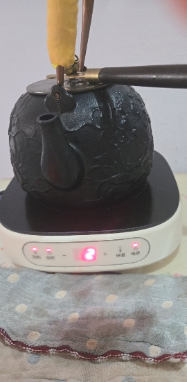 苏泊尔(SUPOR)电陶炉煮茶炉煮茶器大功率小型2024新款迷你电磁炉家用C10-CS15晒单图