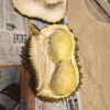 [熊猫鸟]泰国金枕榴莲 进口榴莲 1个装 4-5斤(包3房以上) 软糯香甜 新鲜水果晒单图