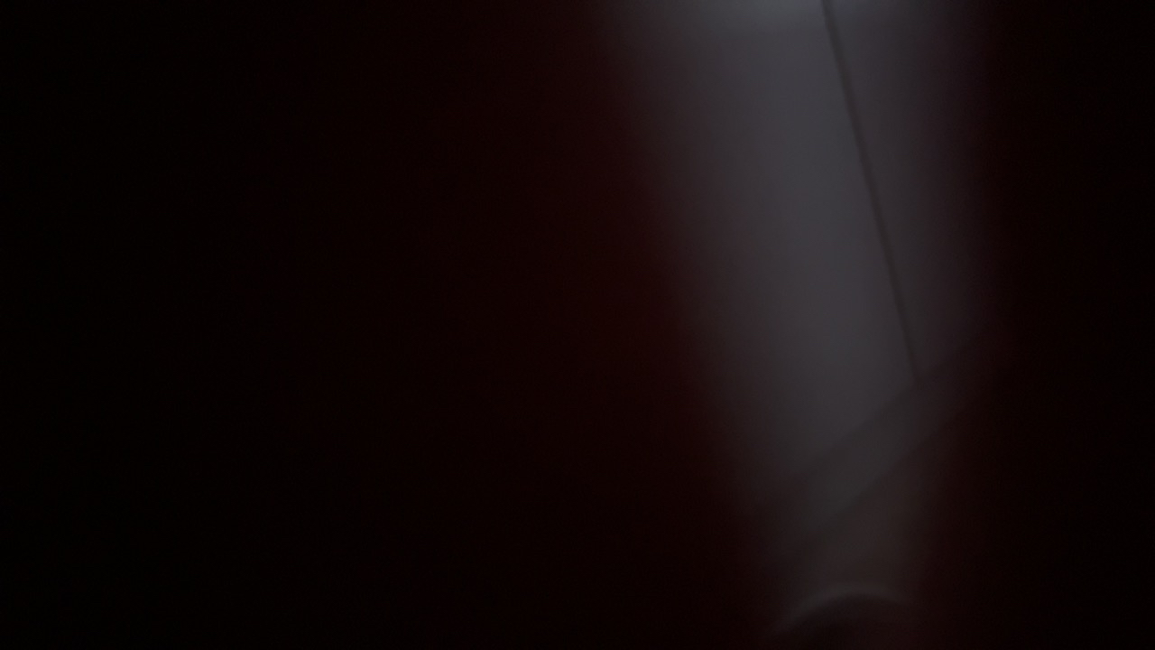 威猛先生洁厕宝百草清香38g *10块 洁厕块蓝泡泡 马桶清洁祛味晒单图