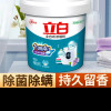 立白全自动浓缩洗衣粉大桶装1.8kg浓缩耐用除菌除螨深层洁净晒单图