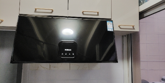 老板(Robam)16m³中式油烟机抽油烟机单烟机按键吸油烟机71cm小尺寸大吸力脱排油烟机自营CXW-185-3009晒单图