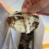 [活蟹]苏州精品大闸蟹全母2.3两-2.6两 8只螃蟹礼盒 去绳足重精品活蟹河蟹鲜活苏州直发晒单图