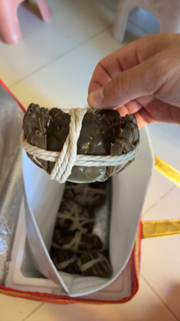 [活蟹]苏州精品大闸蟹全母2.3两-2.6两 8只螃蟹礼盒 去绳足重精品活蟹河蟹鲜活苏州直发晒单图