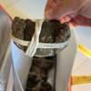 [活蟹]苏州精品大闸蟹全母2.3两-2.6两 8只螃蟹礼盒 去绳足重精品活蟹河蟹鲜活苏州直发晒单图