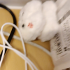 可爱毛绒甜心包包挂件生气兔+哭泣兔晒单图