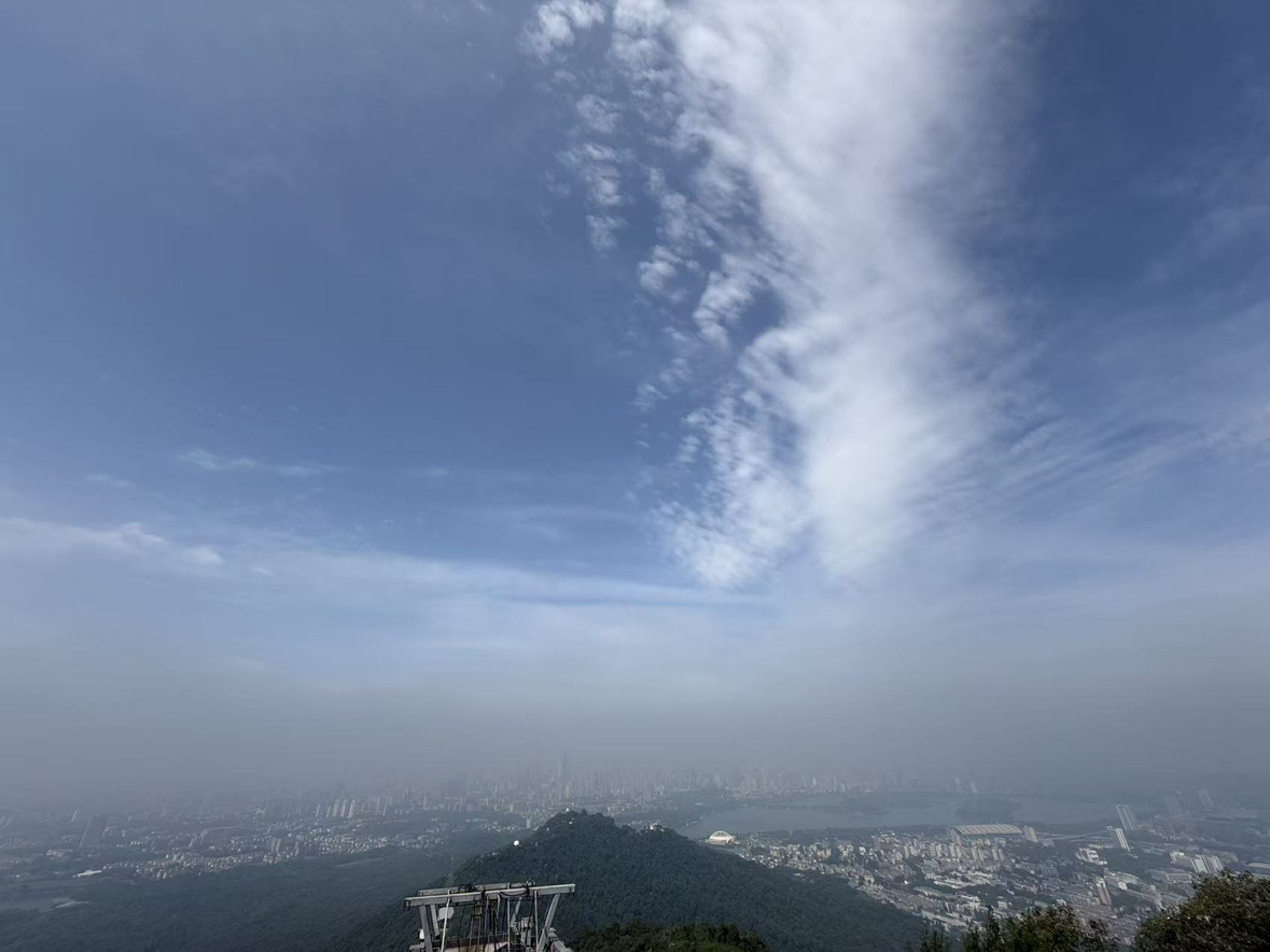 [10月生产]伊利纯牛奶250ml*21盒*2箱 全脂牛奶 优质乳蛋白 早餐伴侣 礼盒装晒单图