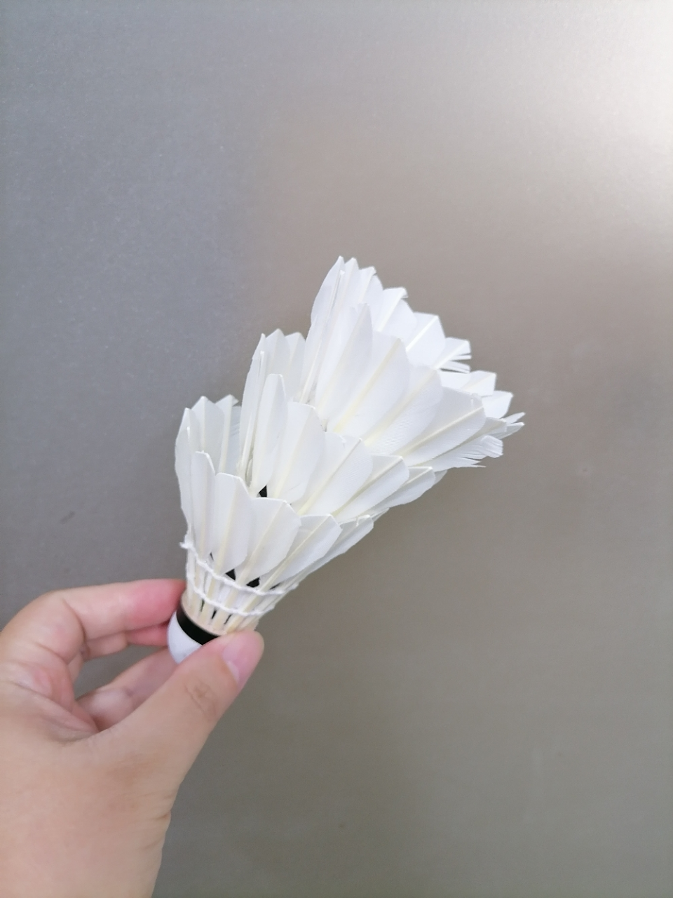 苏宁宜品 SNYP-YMQ1 羽毛球 耐打稳定 12只装/筒晒单图