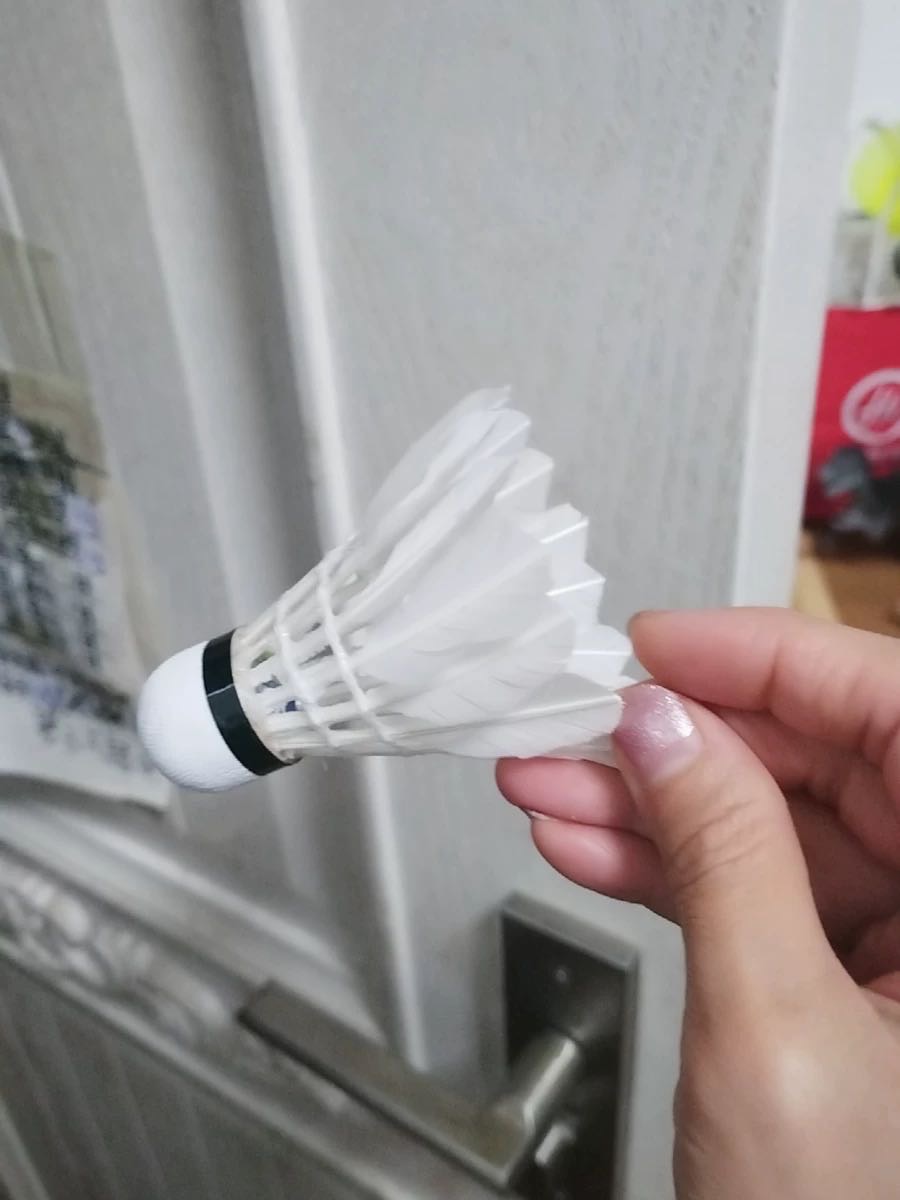 苏宁宜品 SNYP-YMQ1 羽毛球 耐打稳定 12只装/筒晒单图