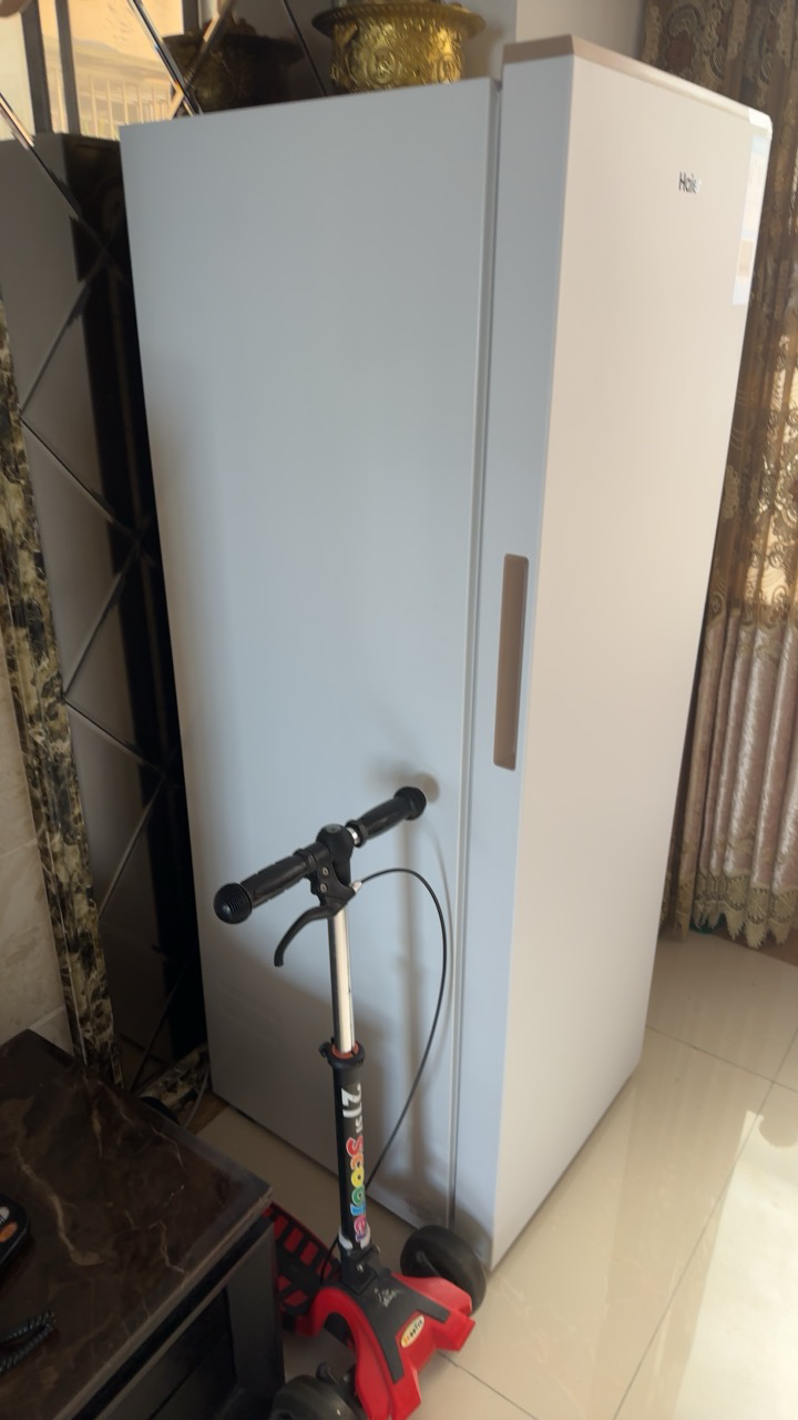 海尔(Haier)210升立式冷柜冰柜小冰箱 柔性双变频 黑金净化 洁净制冰BD-210WGHDGWF晒单图