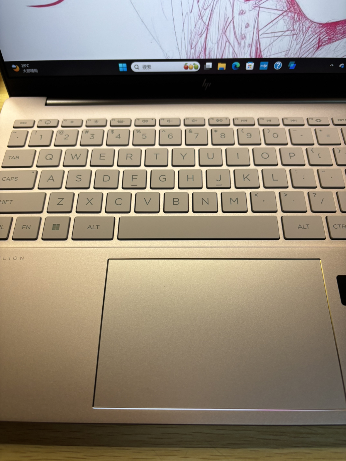 惠普(HP)星BookPro14-ew1161TU 笔记本电脑轻薄本14英寸商务办公学生(Ultra 5-125H 32G 1T 2.5K低蓝光 背光键盘)微醺粉晒单图