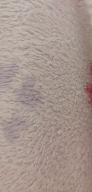 爱他美领熠婴儿配方奶粉 1段 (适用于0-6个月 )800G晒单图